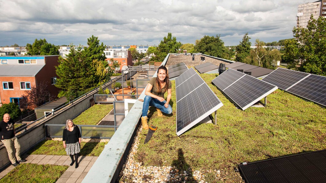 Zonnepanelen op een groen dak