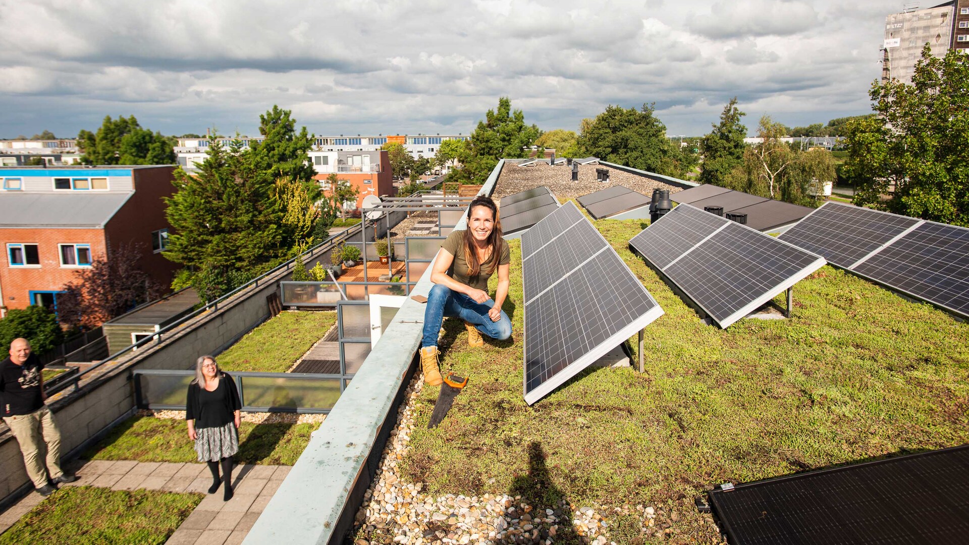 Zonnepanelen op een groen dak