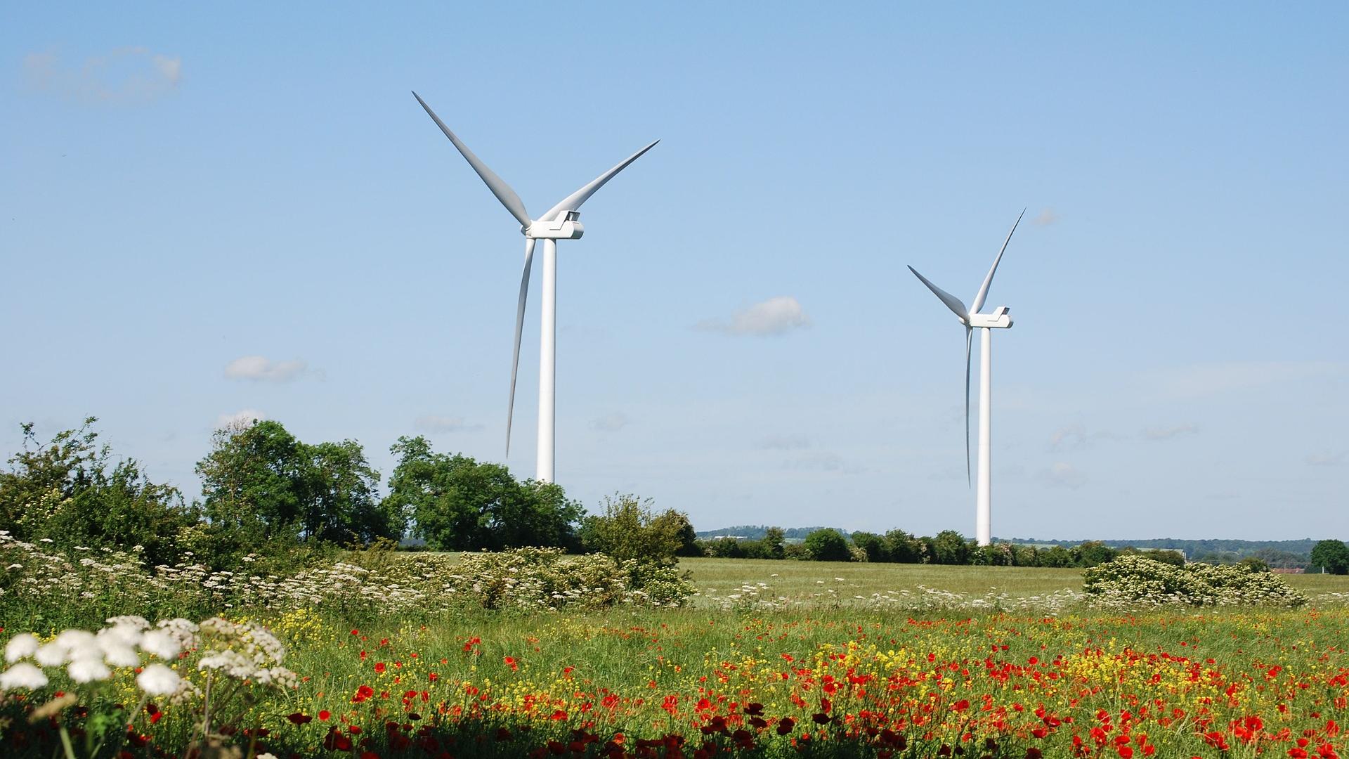 uitgelicht_wind.jpg